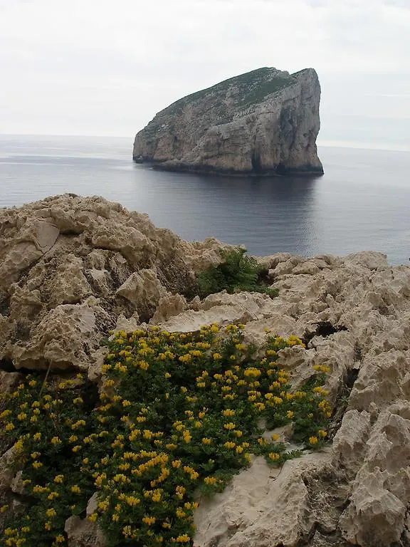 Giramondo Sardegna Affittacamere Alghero
